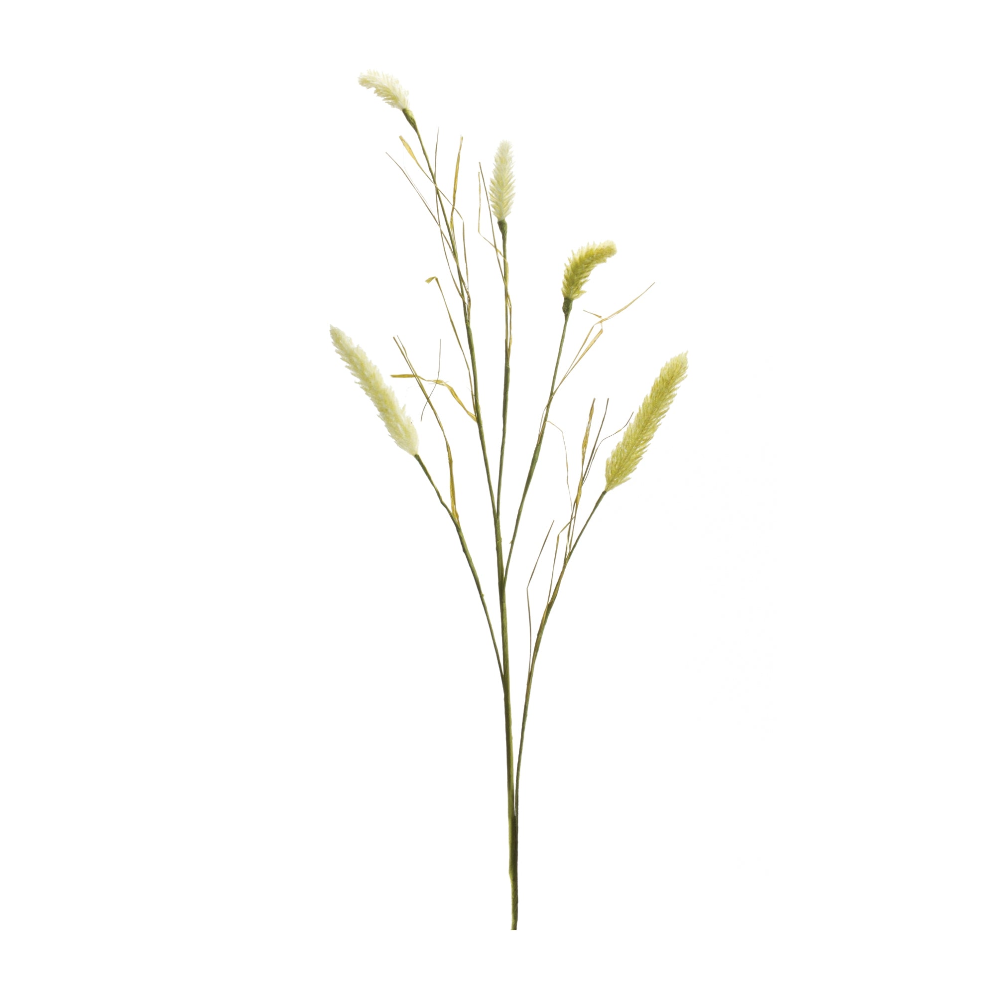 Foxtail Spray 33.5”H