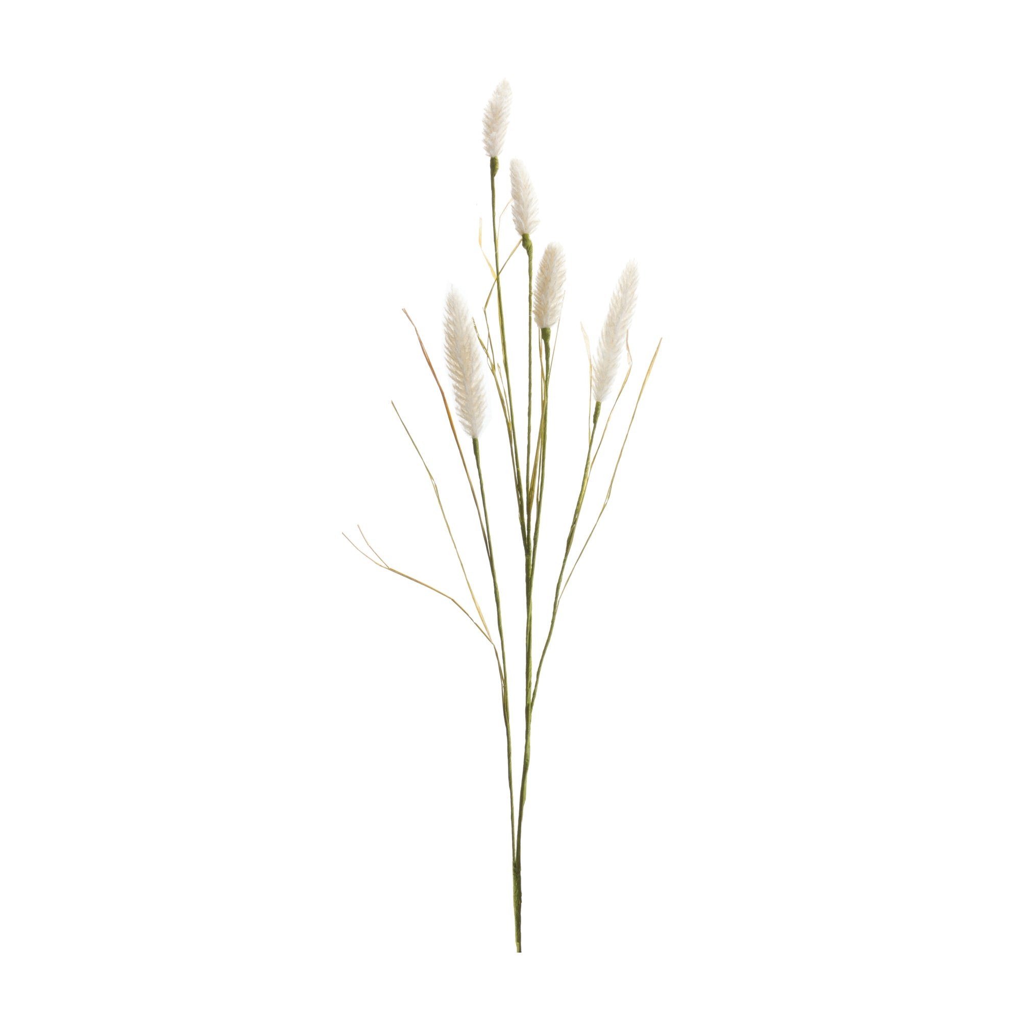 Foxtail Spray 33.5”H