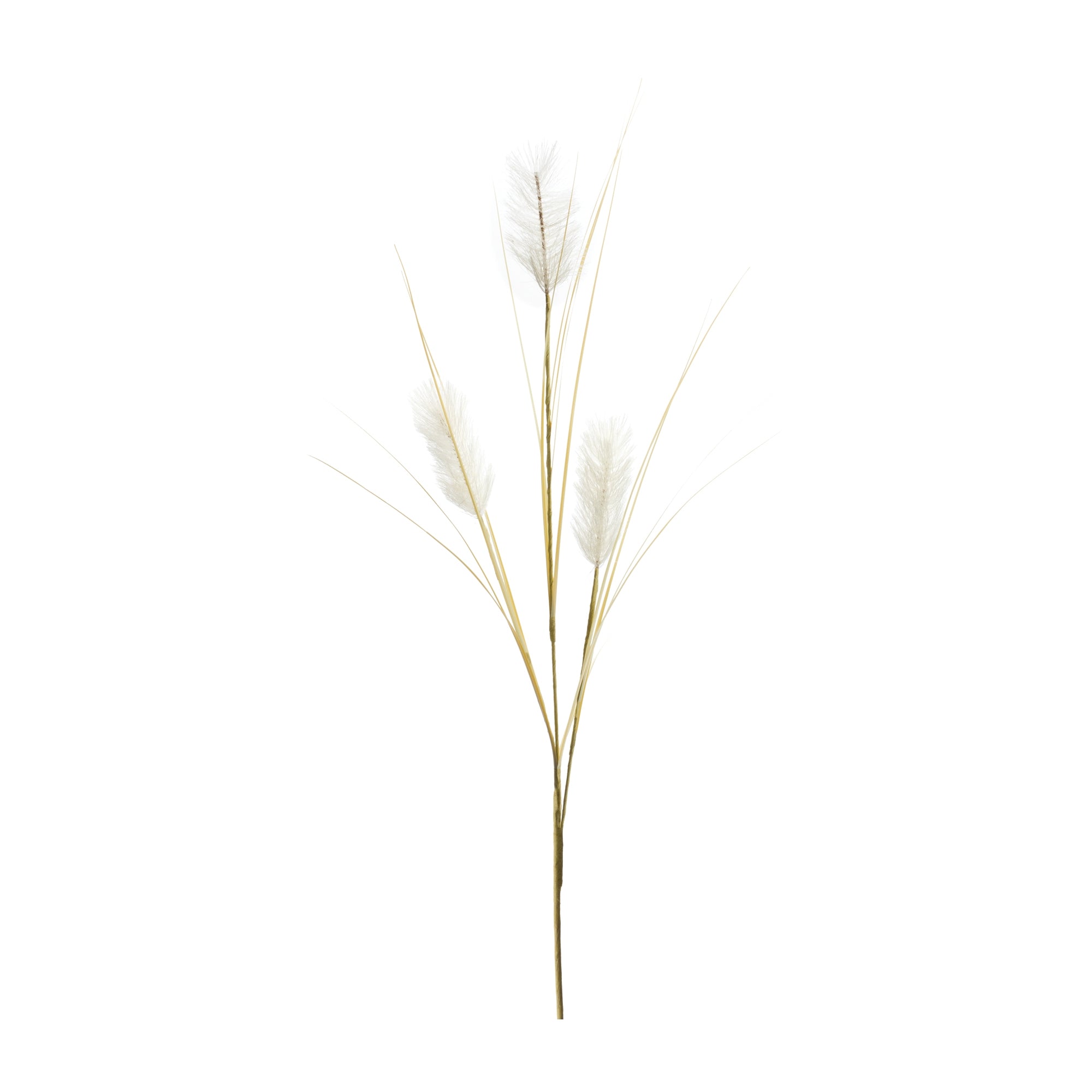 Rabbit Tail Spray 45.5”H