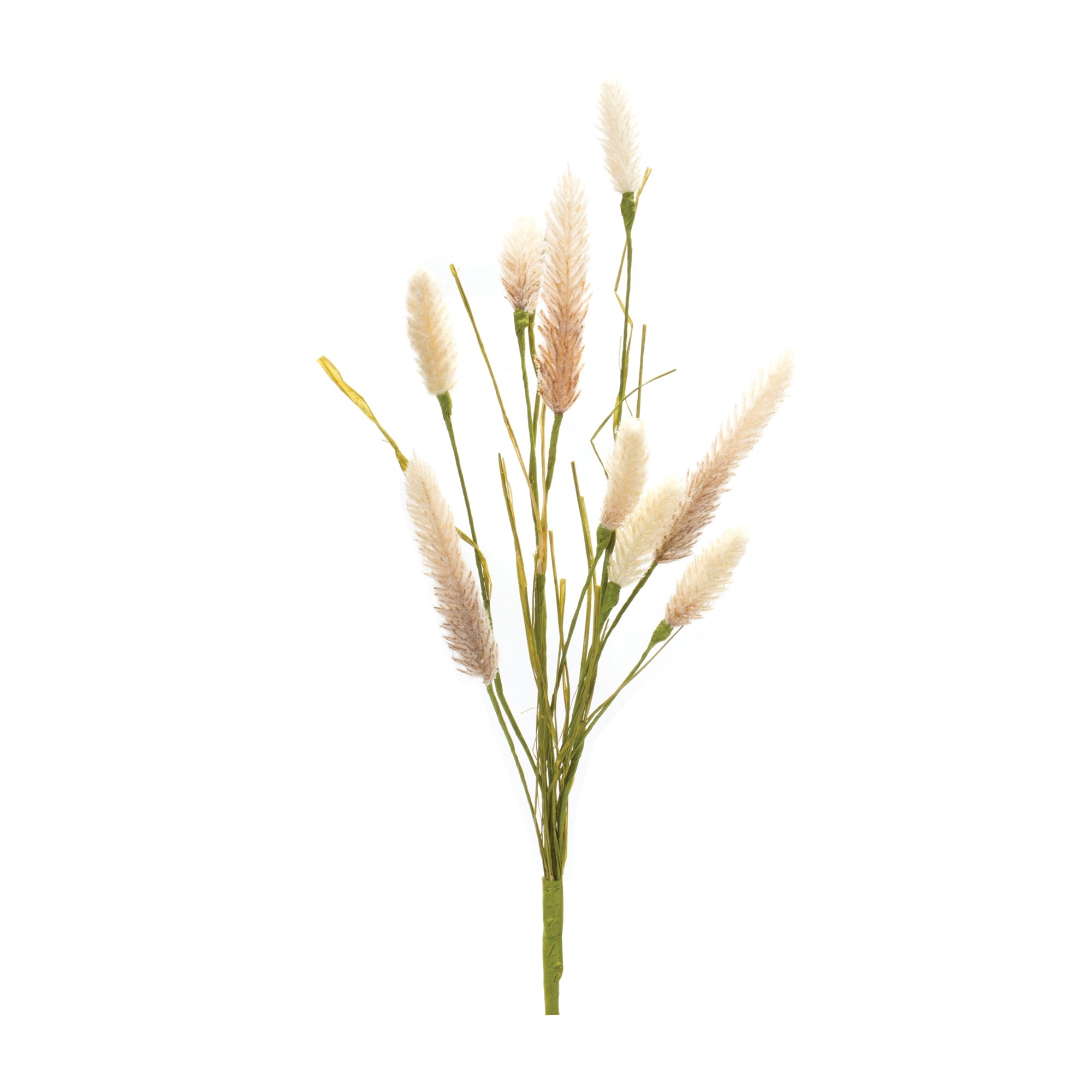 Foxtail Spray 21.25”H
