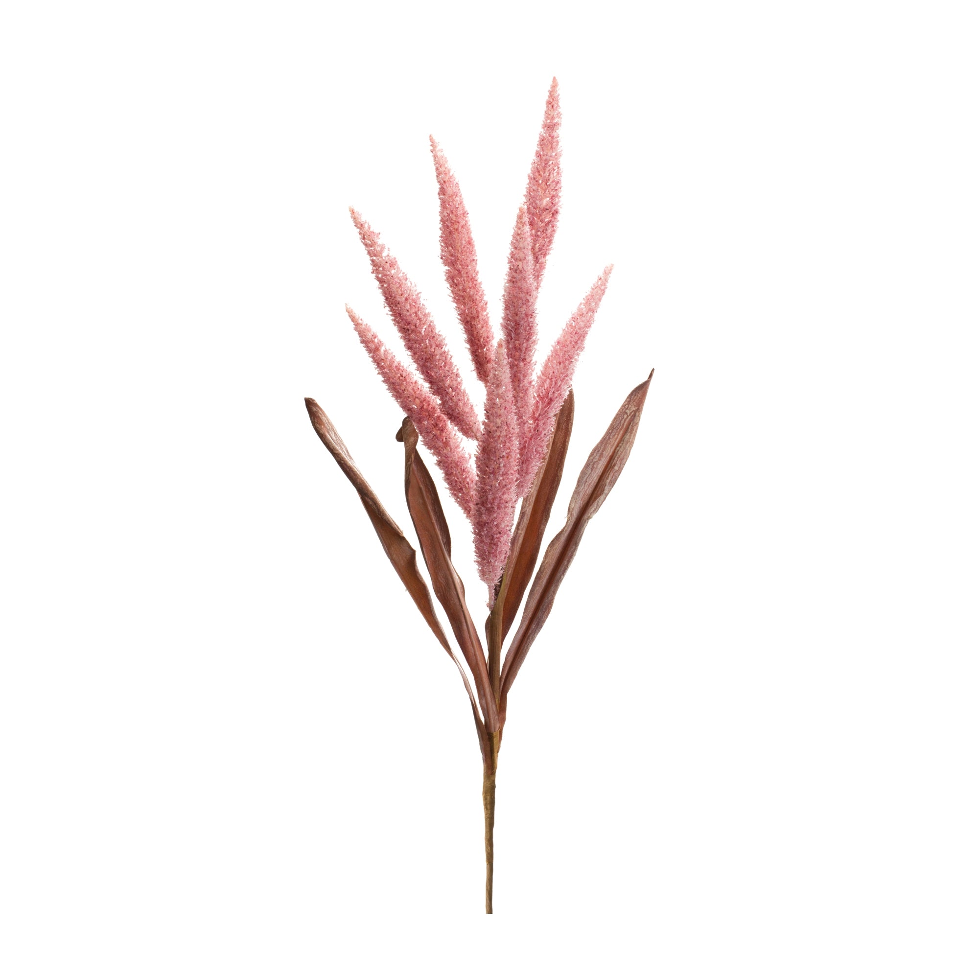 Foxtail Stem 35.5”H Polyester