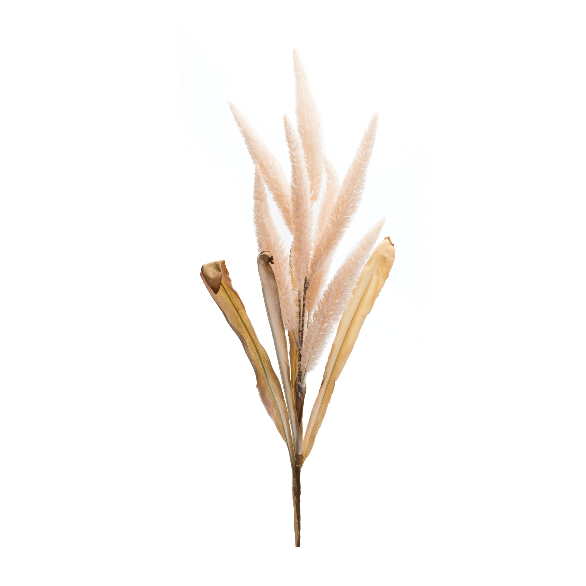 Foxtail Stem 35.5”H Polyester