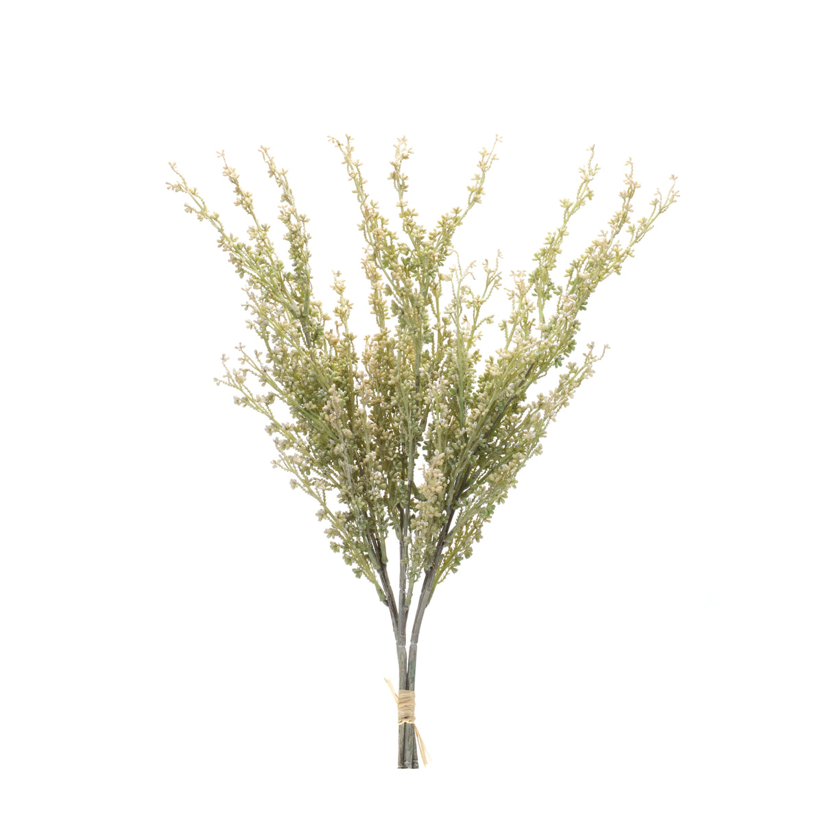 Mini Seed Pod Bundle