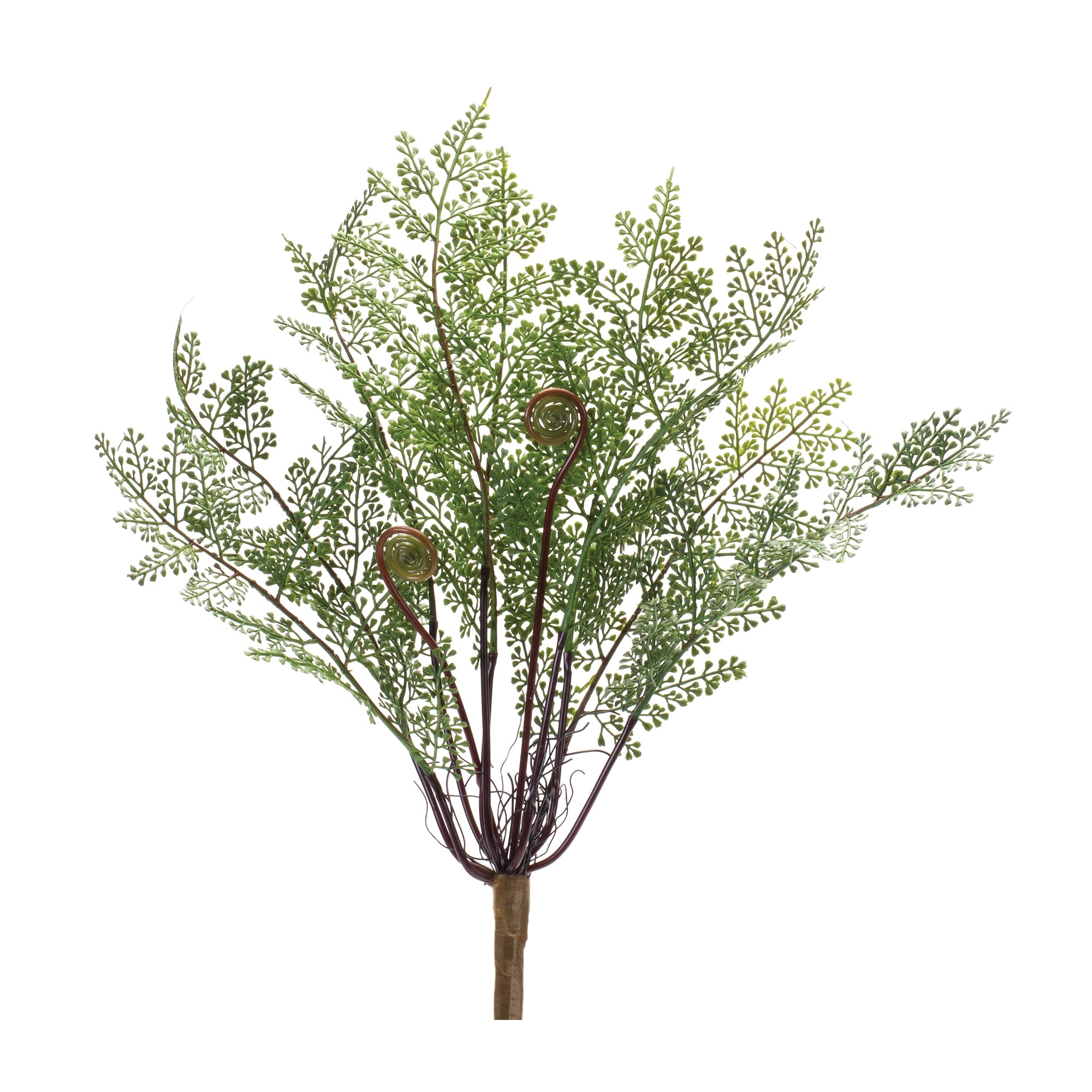Fern Bush 13”H