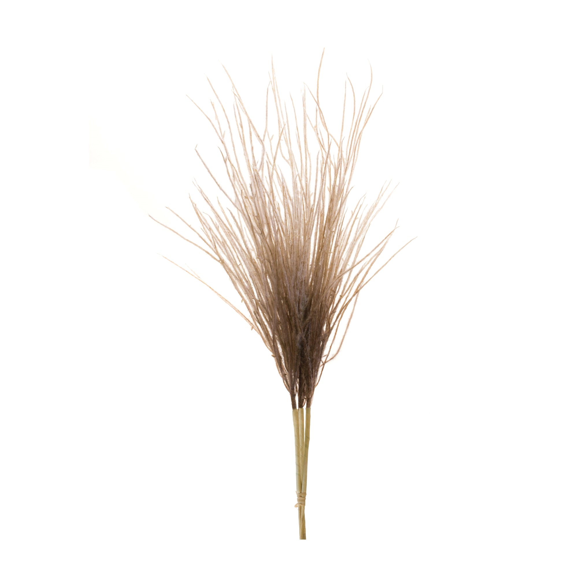 Plume Bundle 41”H Polyester