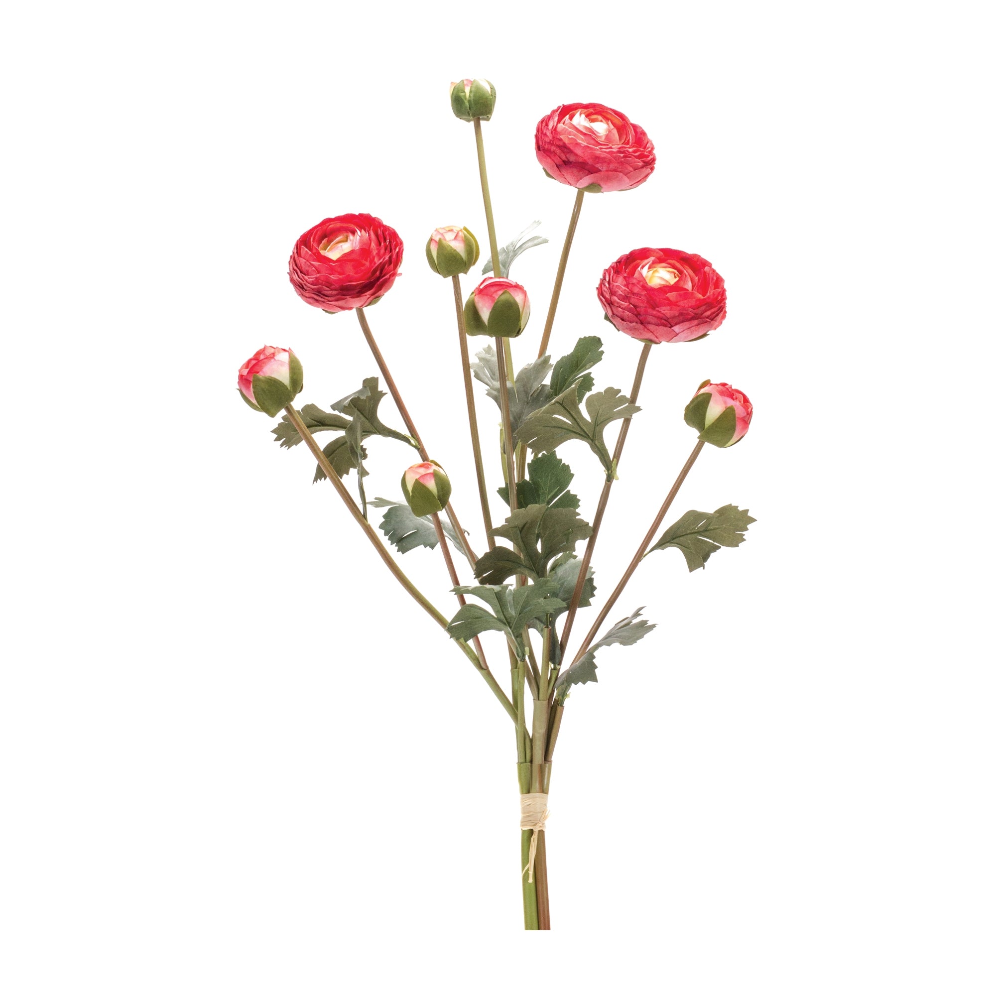 Ranunculus Bundle 23”H Polyester
