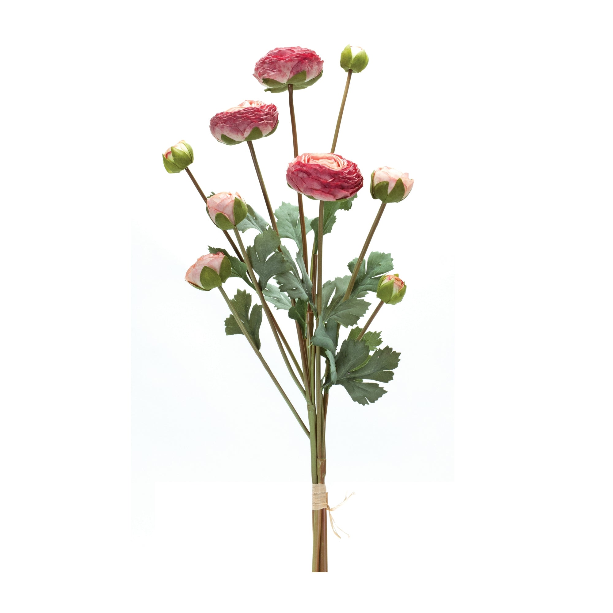 Ranunculus Bundle 23”H Polyester