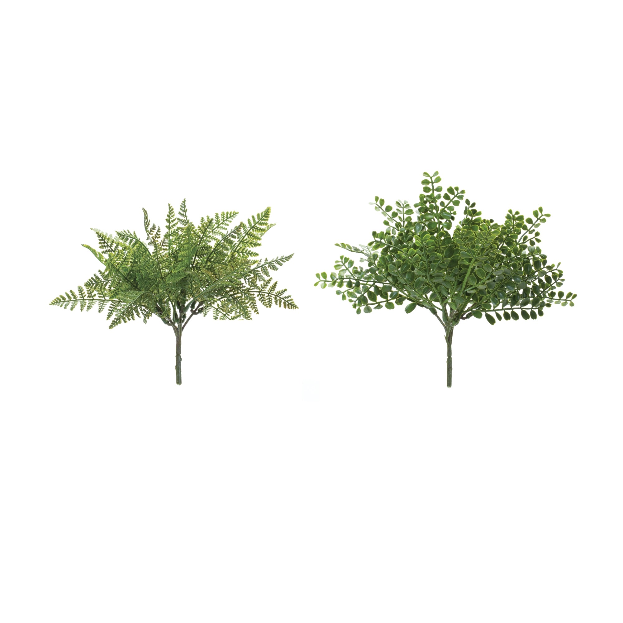 Fern Bush (2 Asst) 8.75”H
