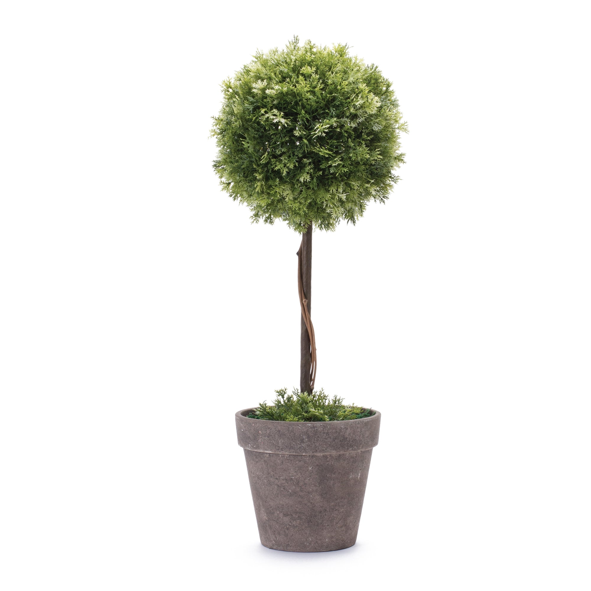 Topiary 17.5”H