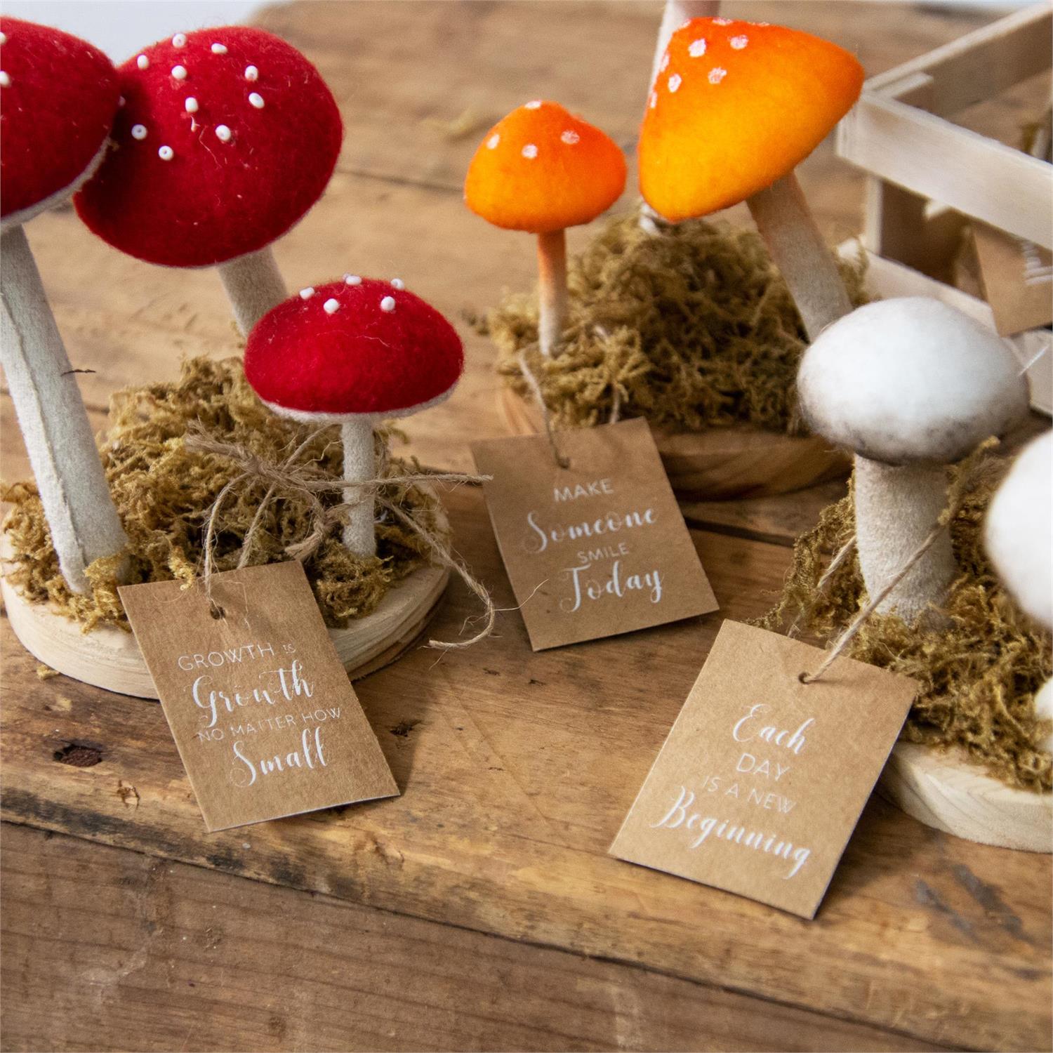 Mushroom Trio Soft Figures (S/9)