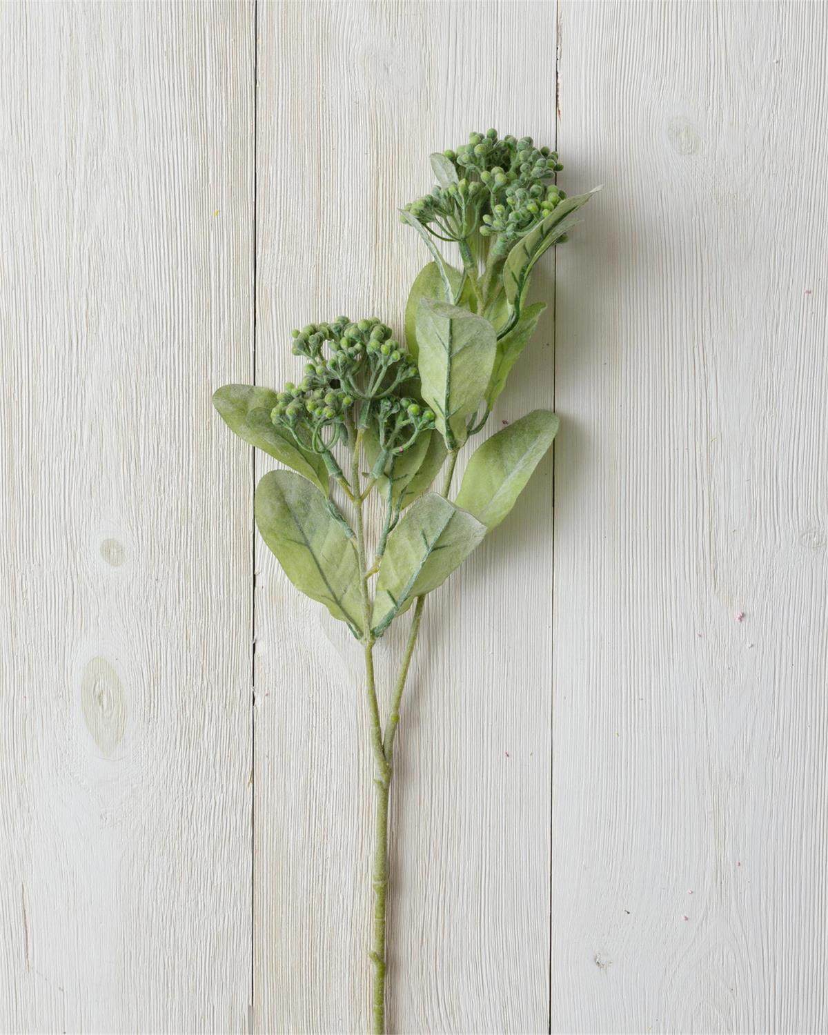 Branch - Seeded Foliage, Green