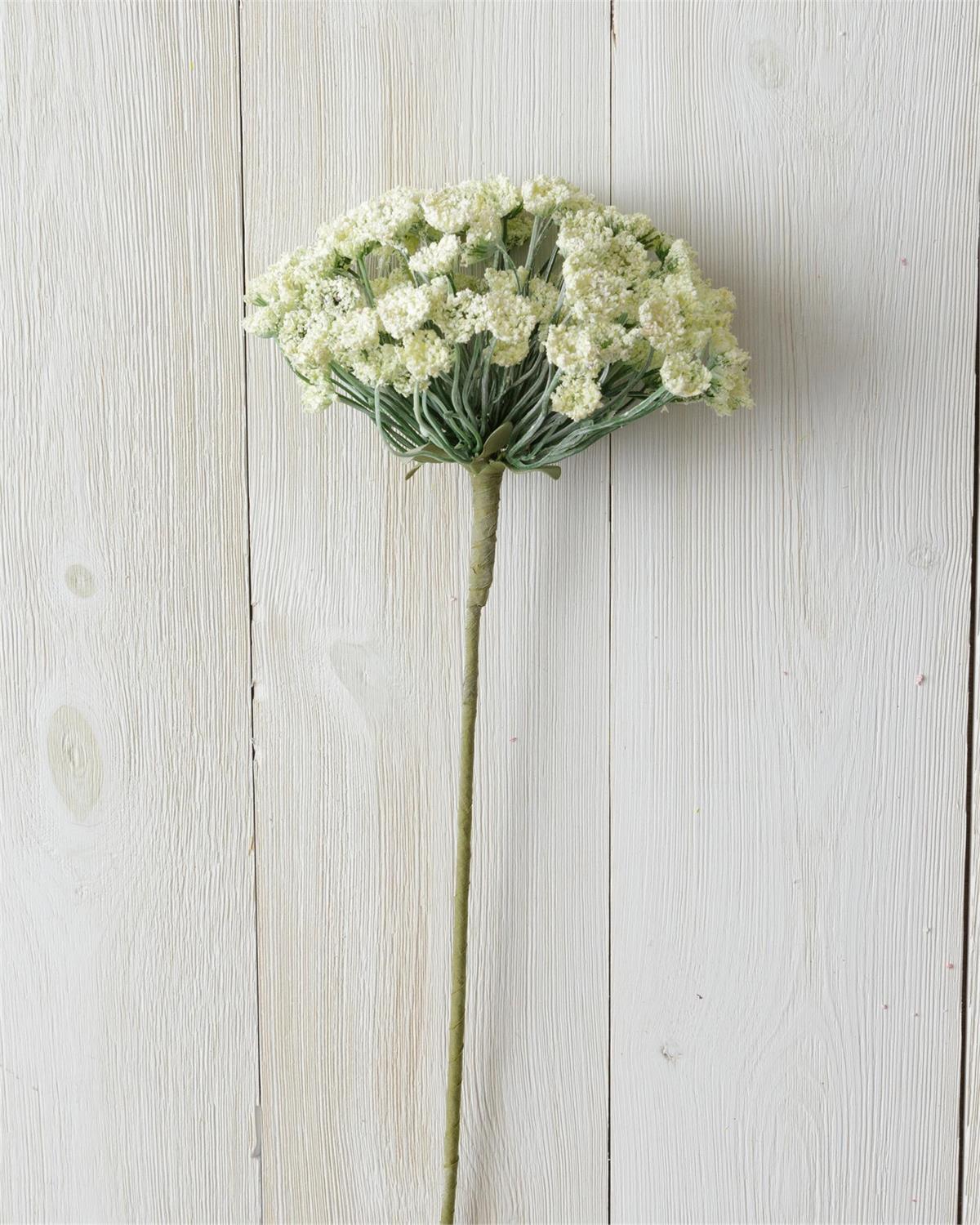 Branch - Allium, White