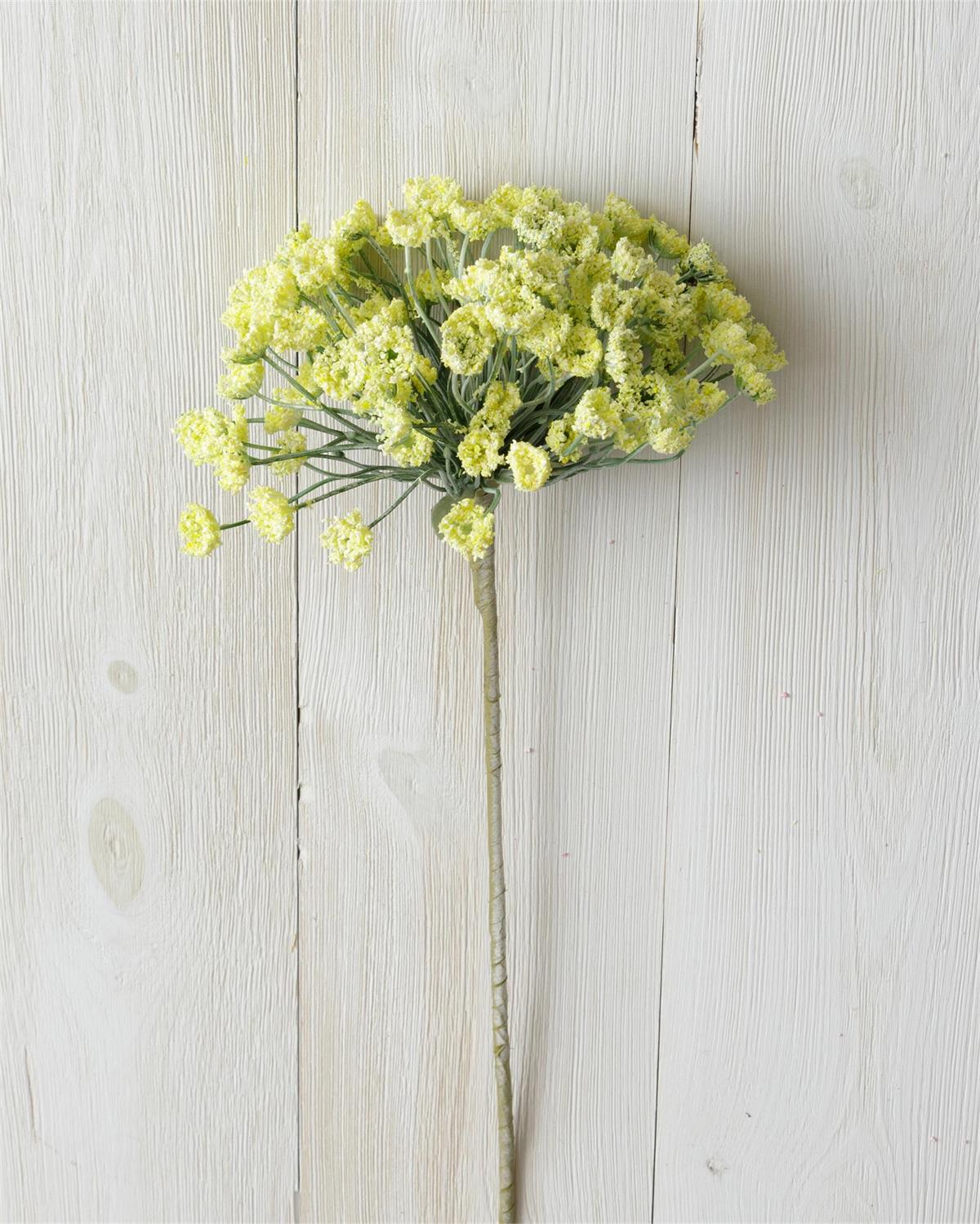 Branch - Allium, Yellow