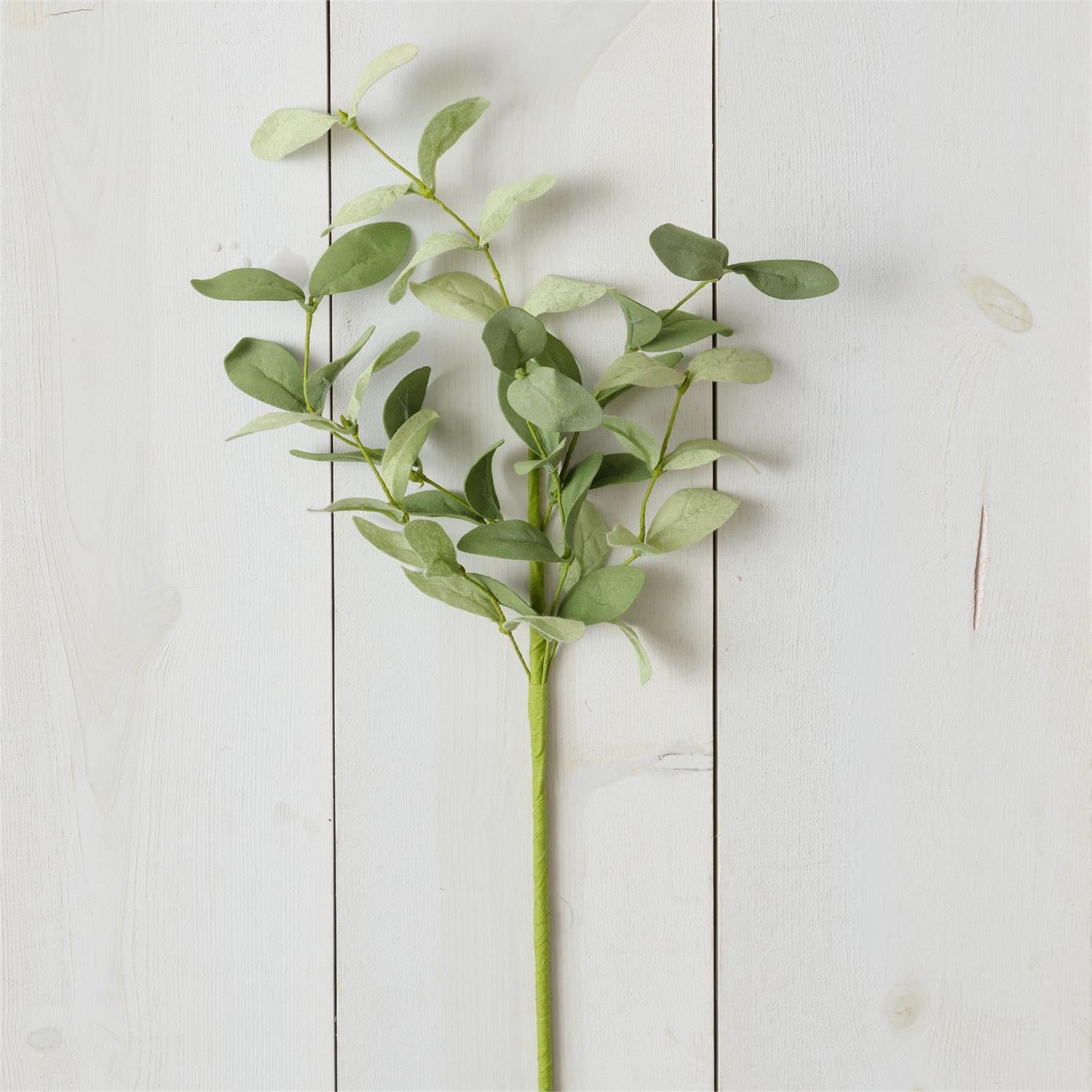 Pick - Shades Of Green, Sage
