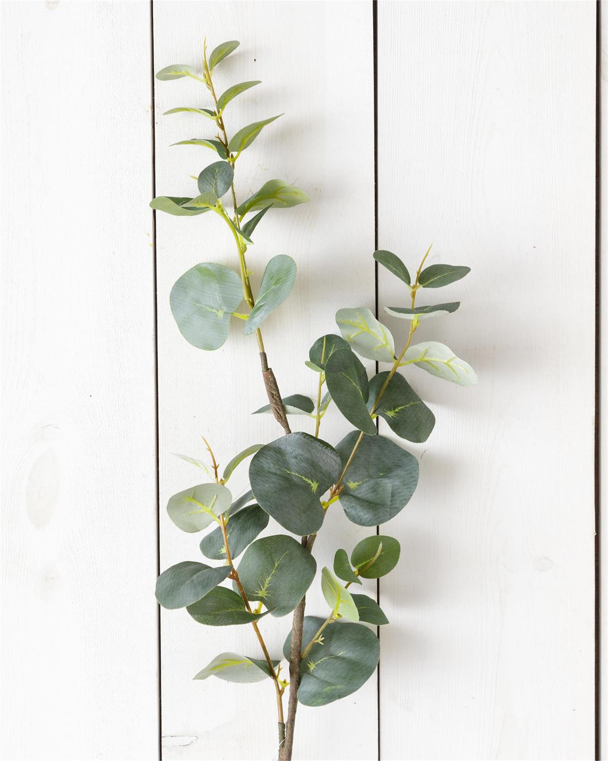 Pick - Eucalyptus Leaf