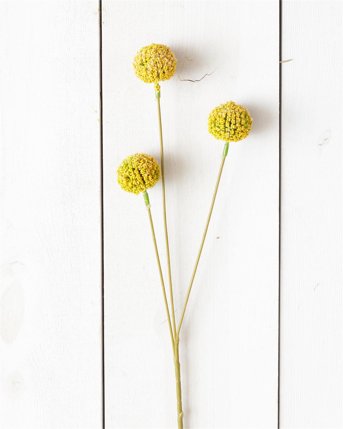 Branch - Yellow Billy Buttons