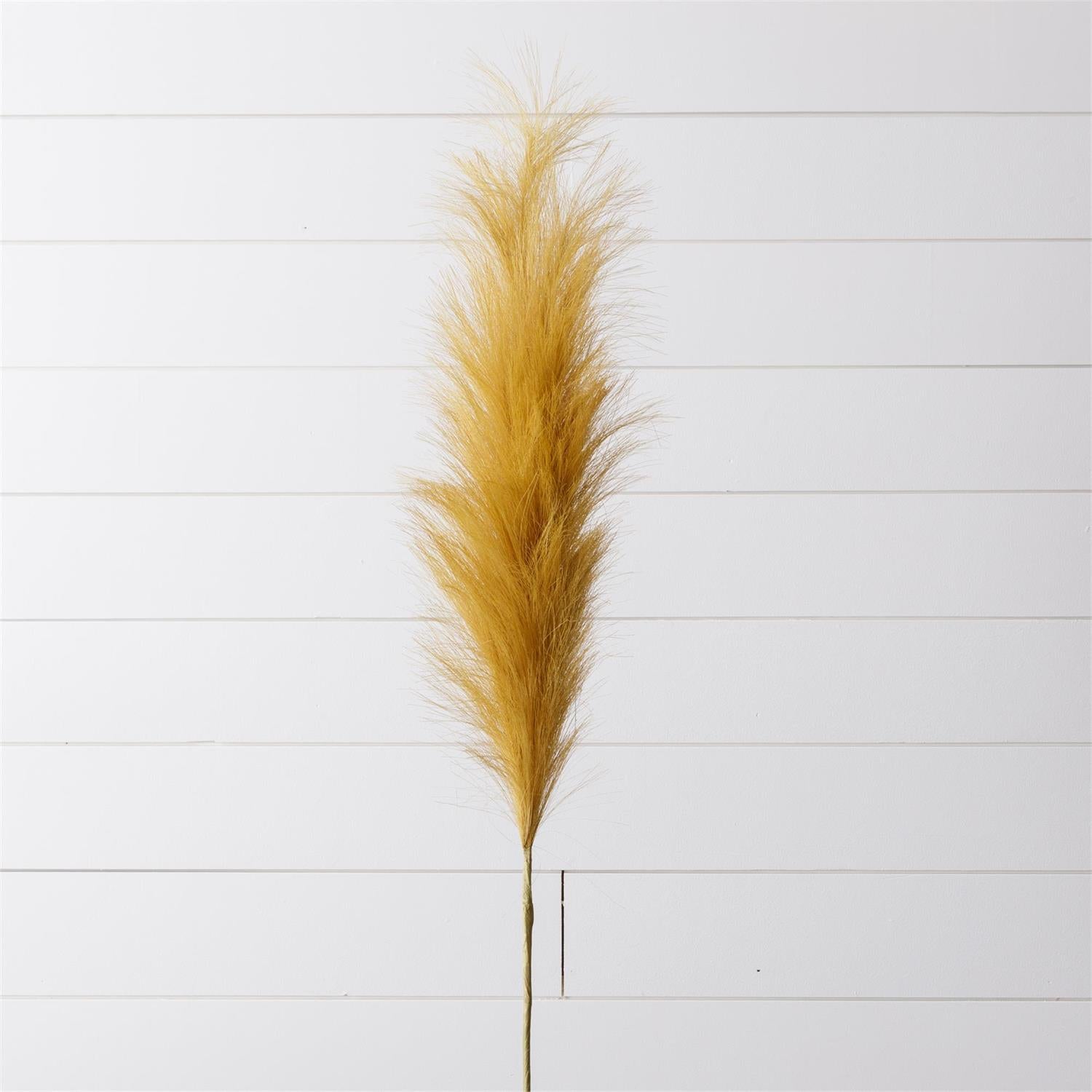 Golden Pampas Branch (Pk 2)