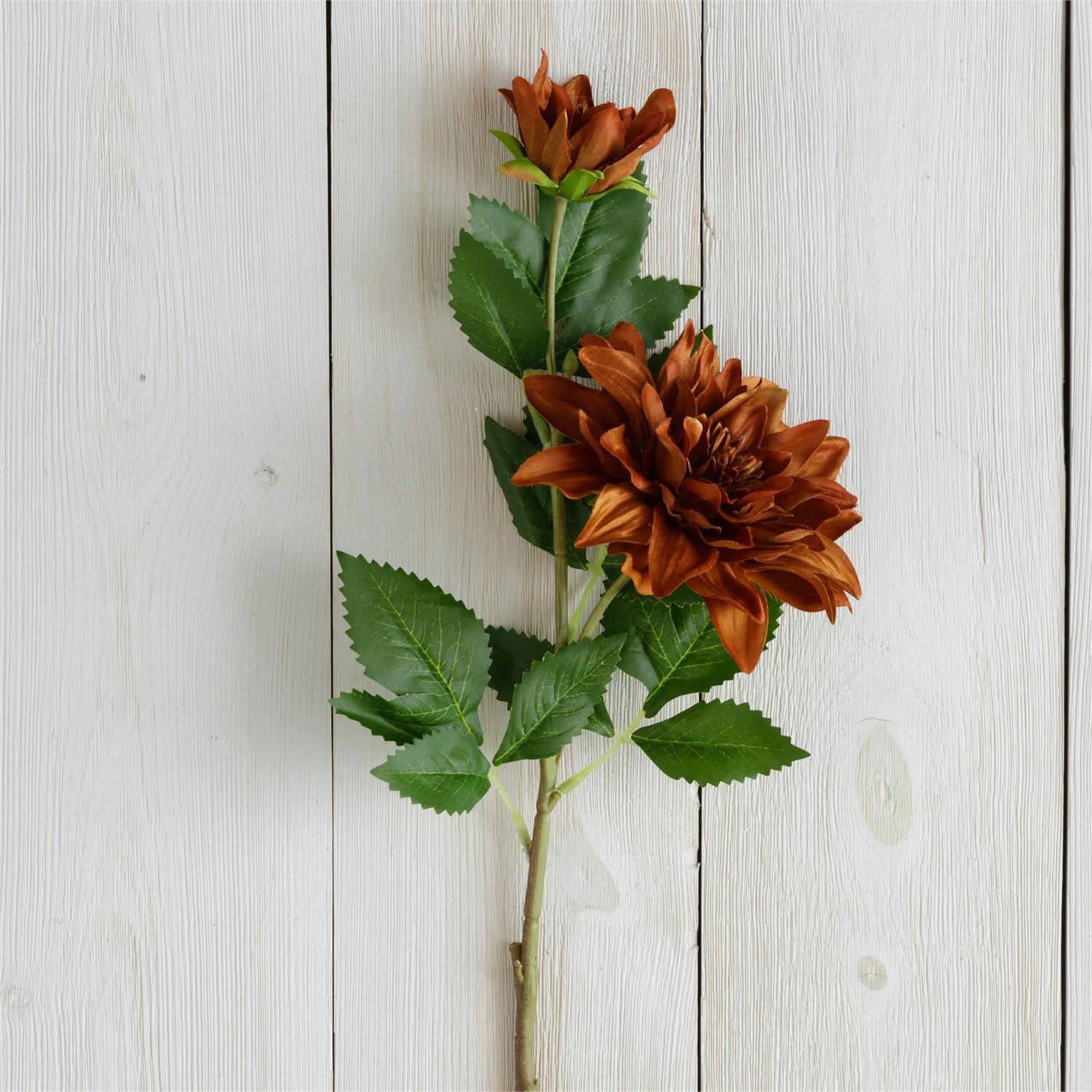 Branch - Brown Dahlia