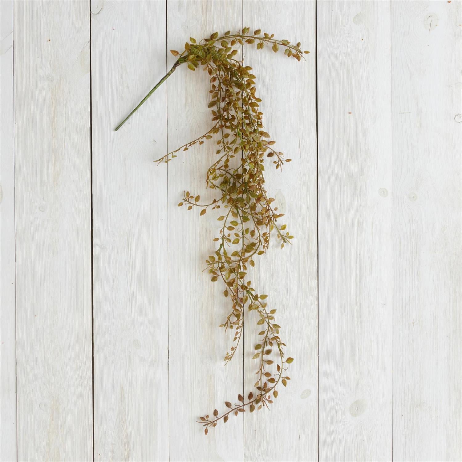 Hanging Baby Grass