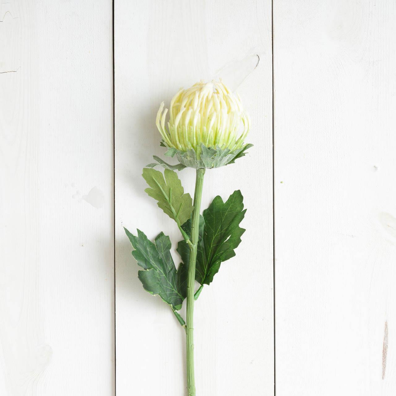 Pick - Protea White Small