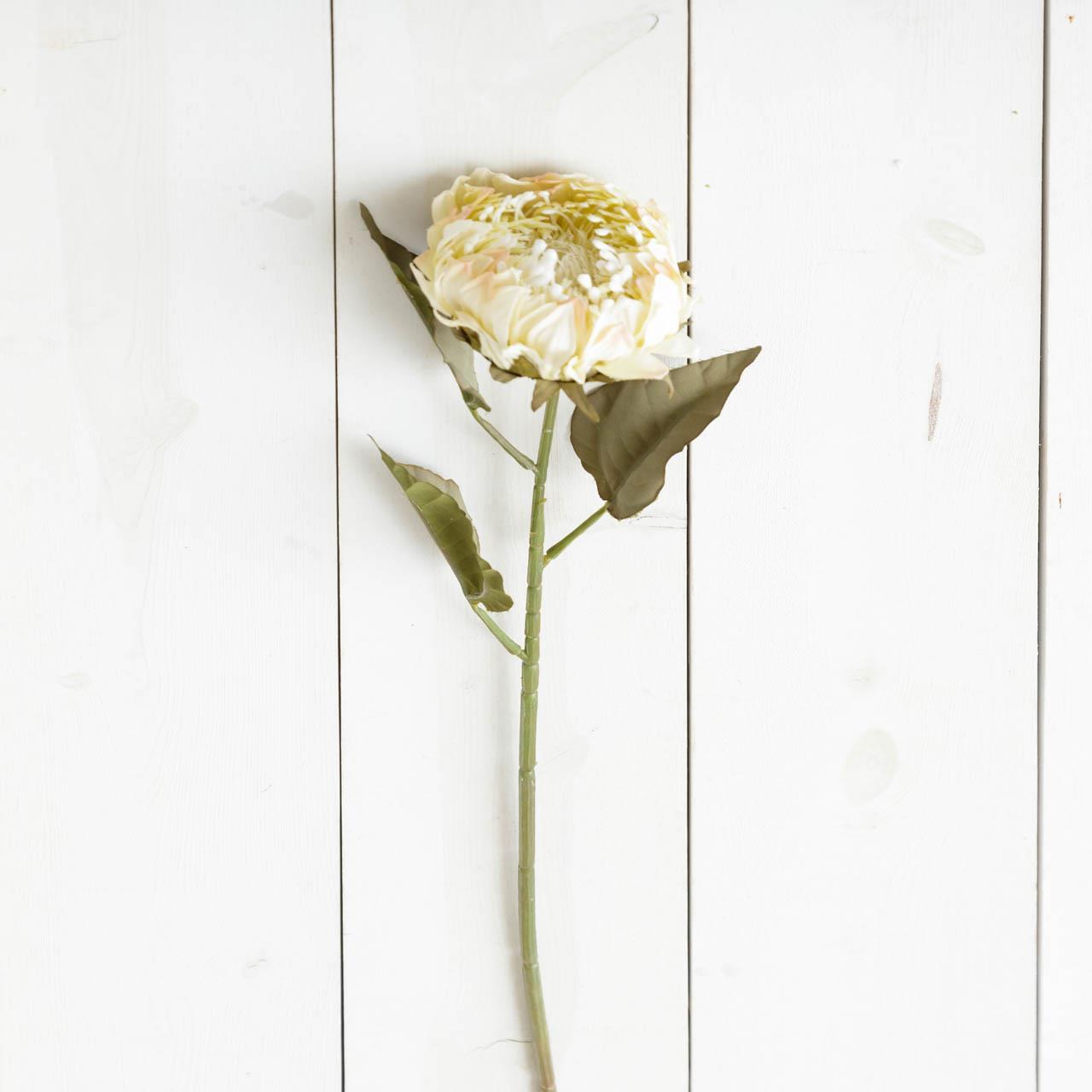 Pick - Protea White Large (Pk 2)
