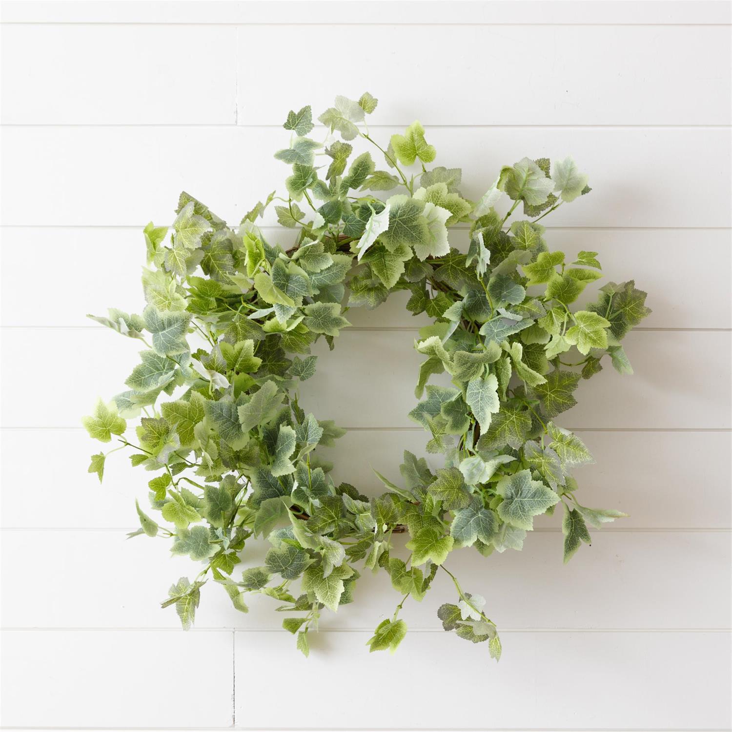 Wreath - Variegated Ivy