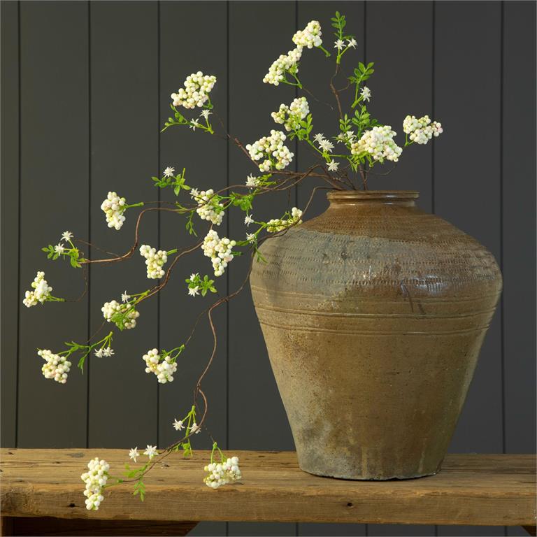 Arabian Jasmine Branch