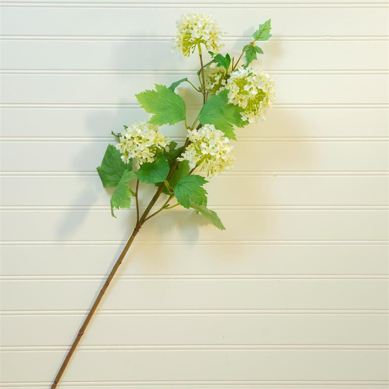 White Flowers Stem