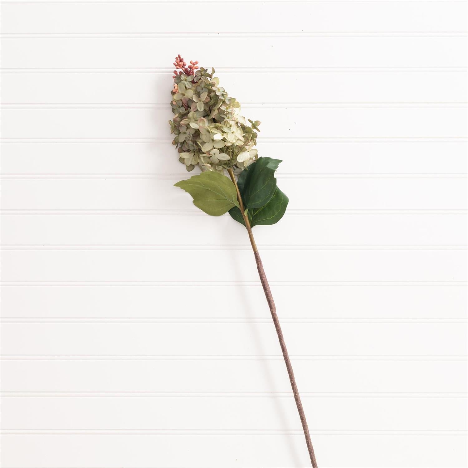 Pick - Hydrangea Antique Green Pink