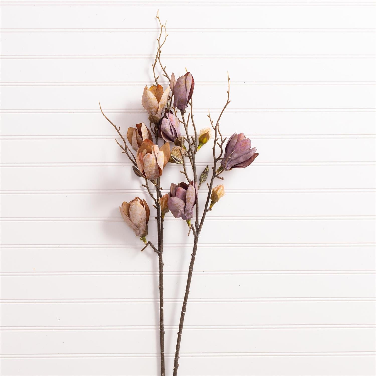 Branch - Magnolia