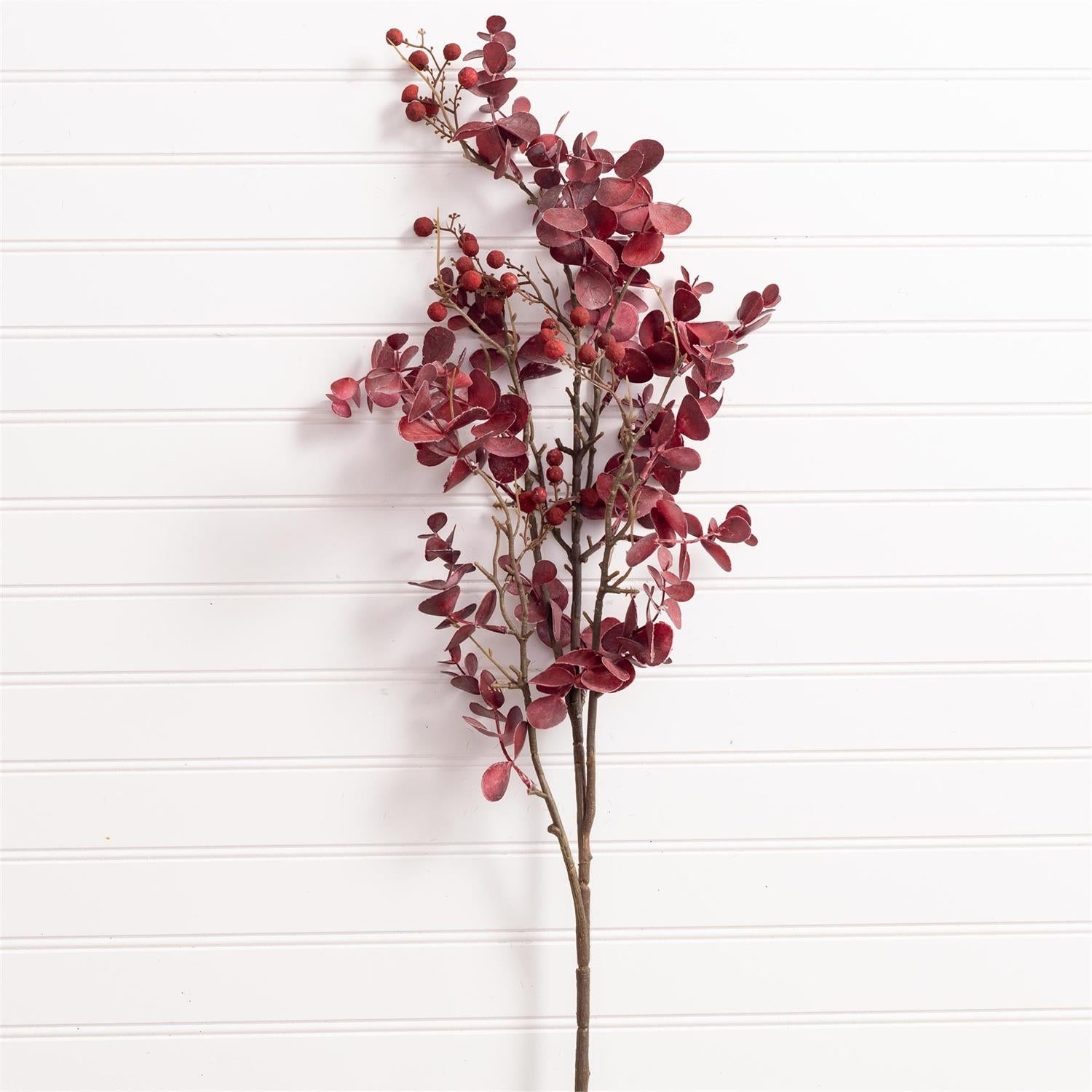 Branch - Red Eucalyptus Leaf