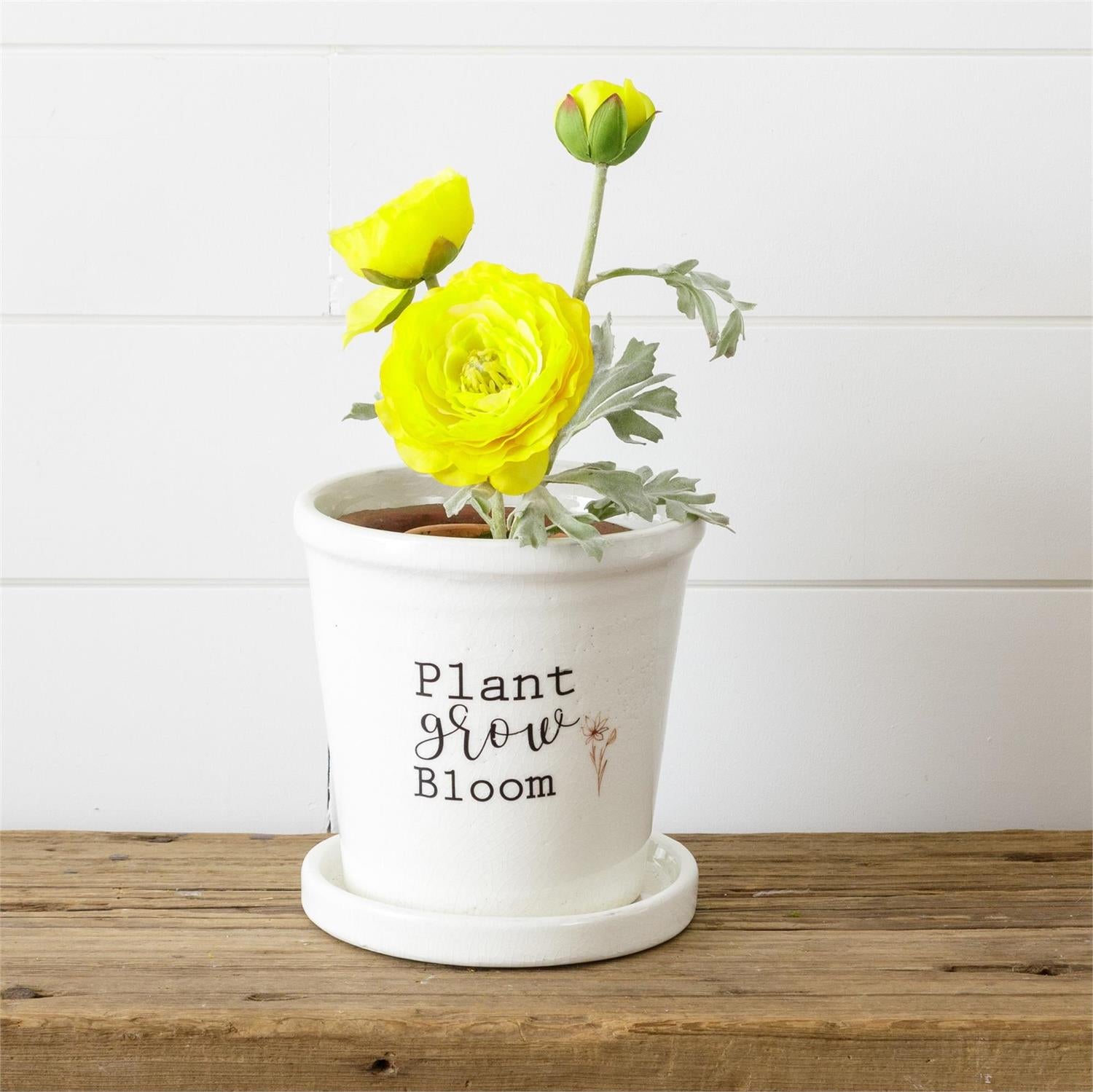 Pot With Saucer - Plant, Grow, Bloom