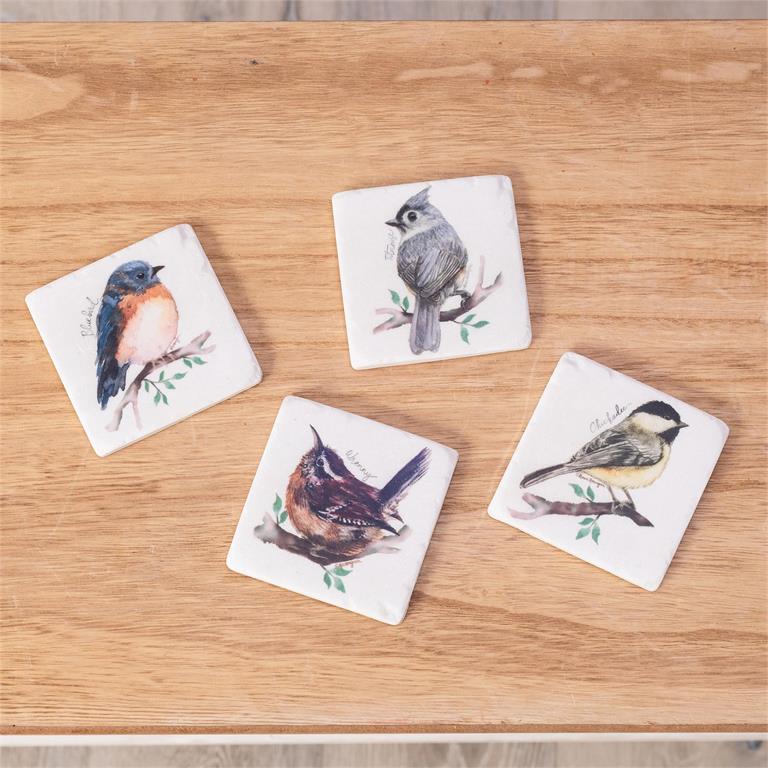 Coasters - Birds On Branch