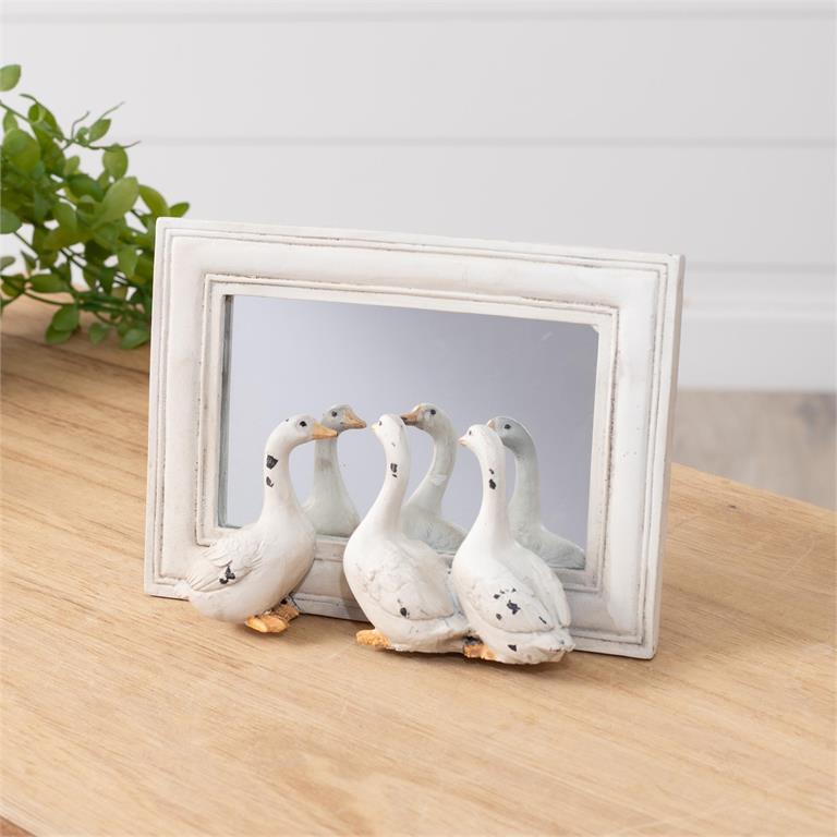 Geese Peeking Mirror