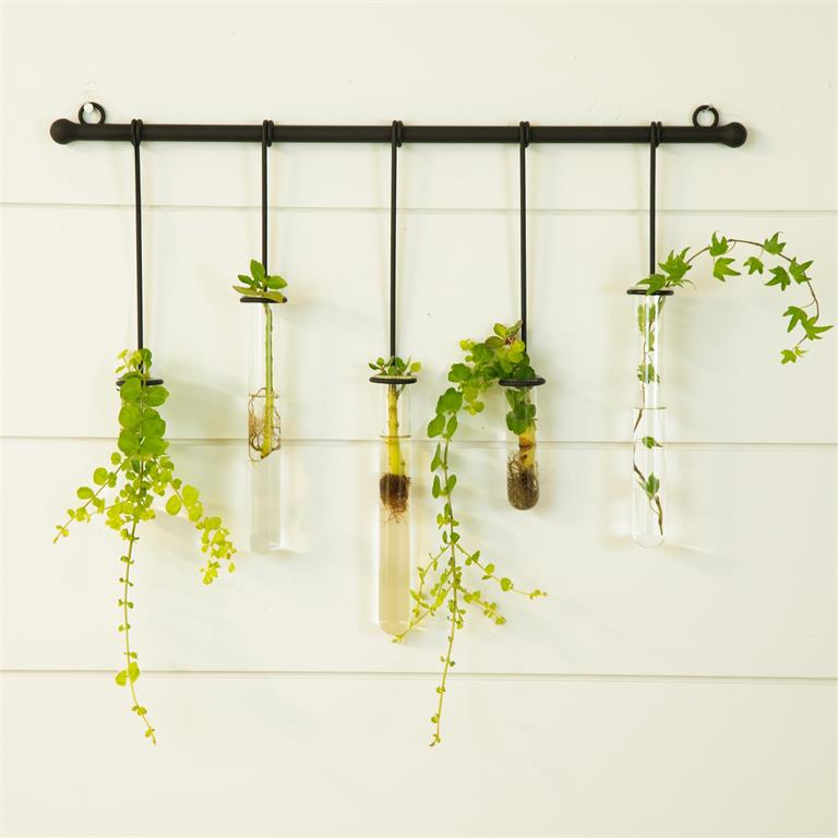 Black Propagation Wall Hanging