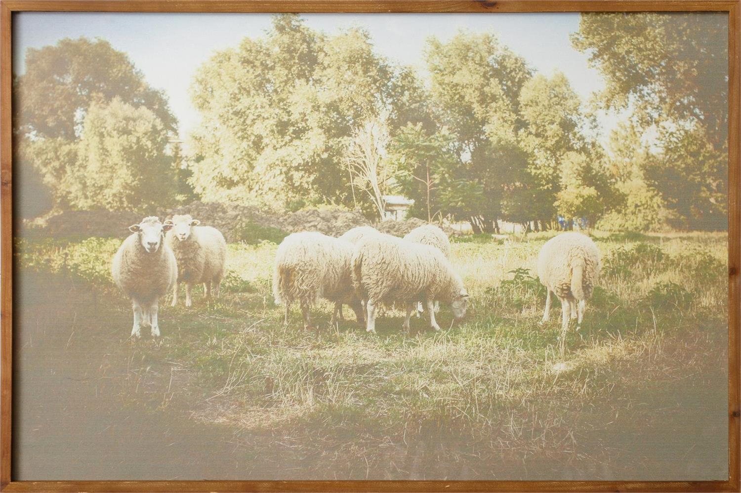 Sign - Grazing Sheep
