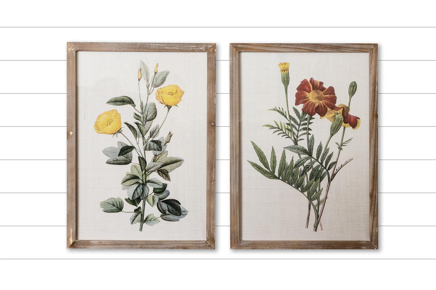 Framed Prints - Marigold And Ranunculus