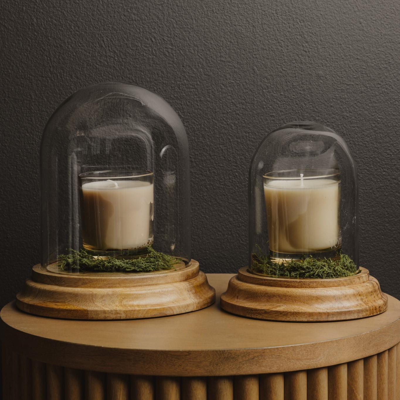 Glass Cloche w/ Wooden Base (S/2)