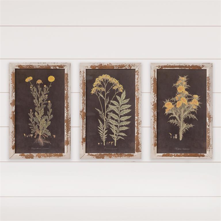 Framed Prints - Yellow Flowers on Dark Ground