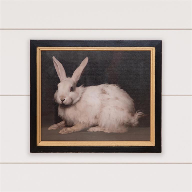 Handsome Rabbit Artwork