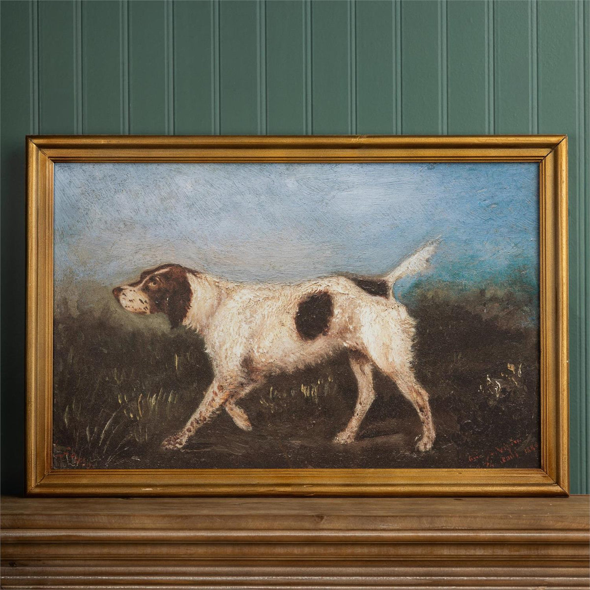 Framed Print - Vintage English Setter