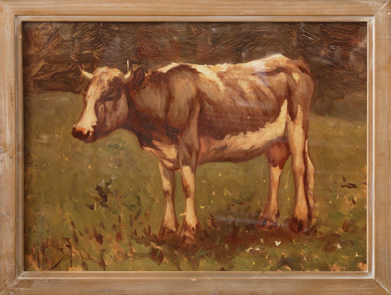 Framed Print - Grazing Bull