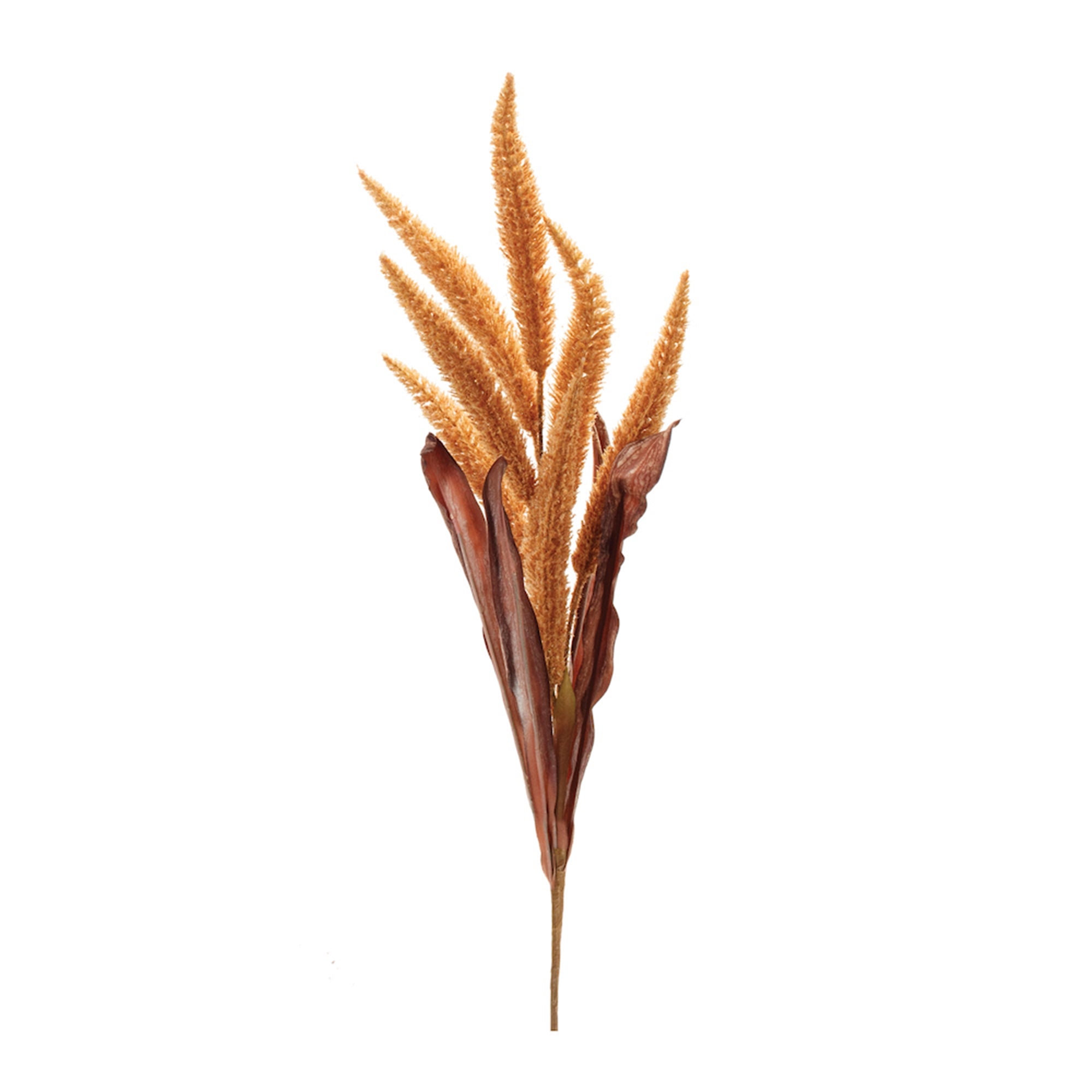 Foxtail Spray 35.5”H Polyester