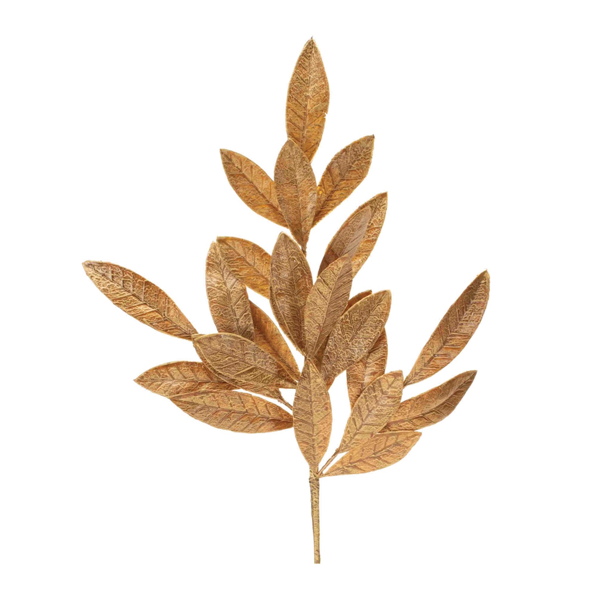 Bay Leaf Spray 19”H