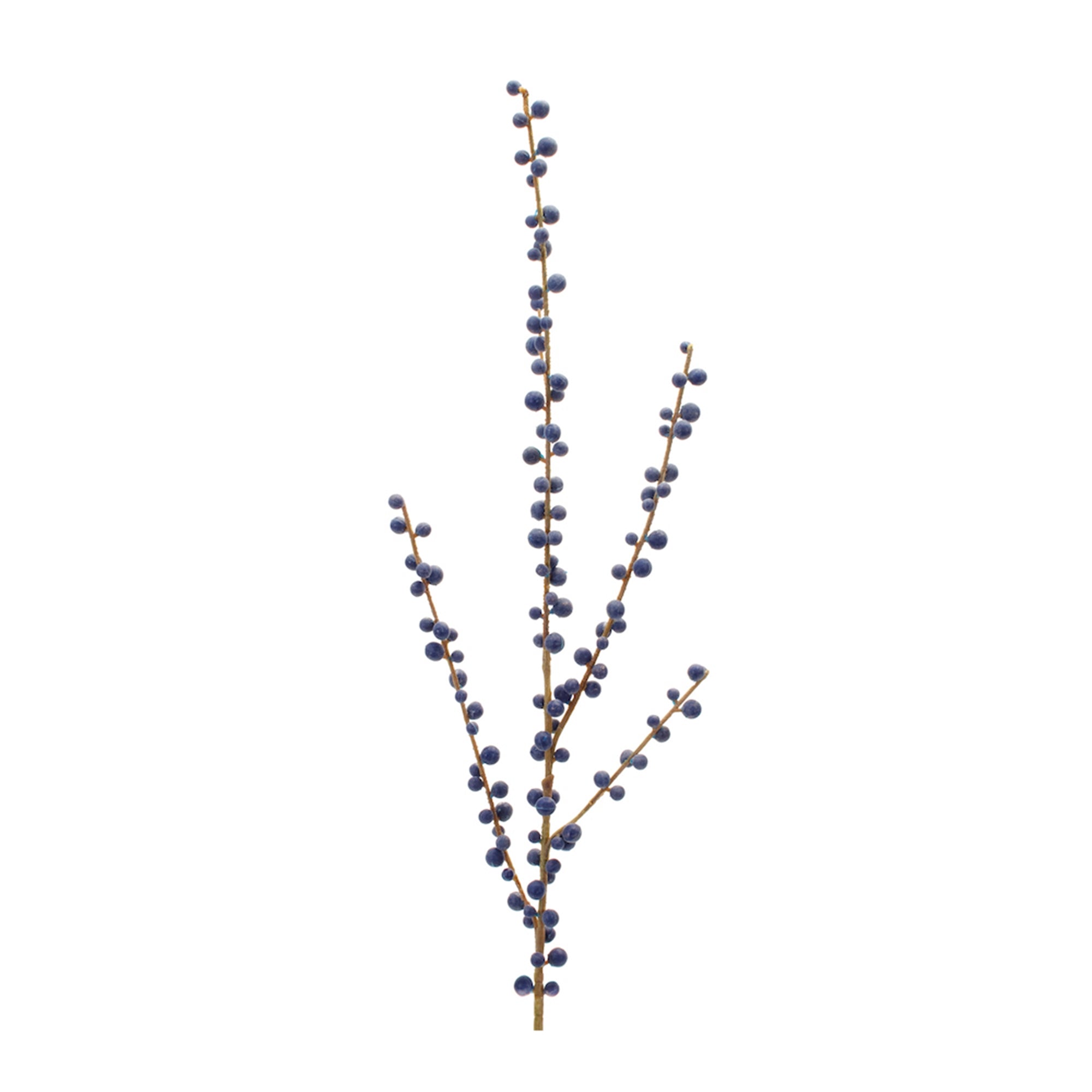 Ilex Berry Spray 29”H