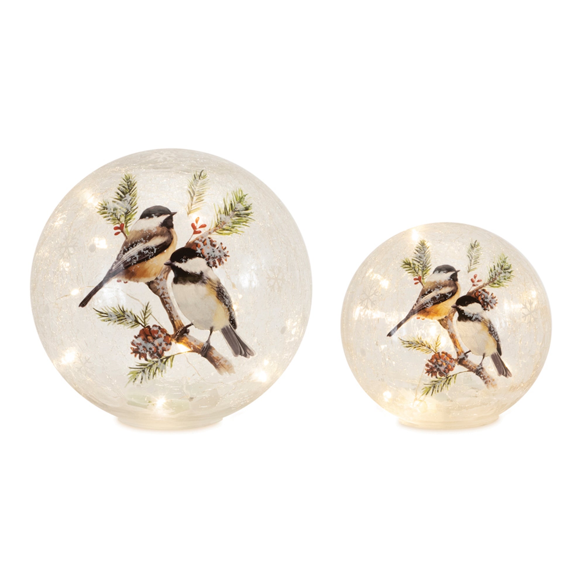 LED Globe w/Chickadees (Set of 2) 5.5"D, 7.5"D Glass 6 Hr Timer 3 AA Batteries, Not Included