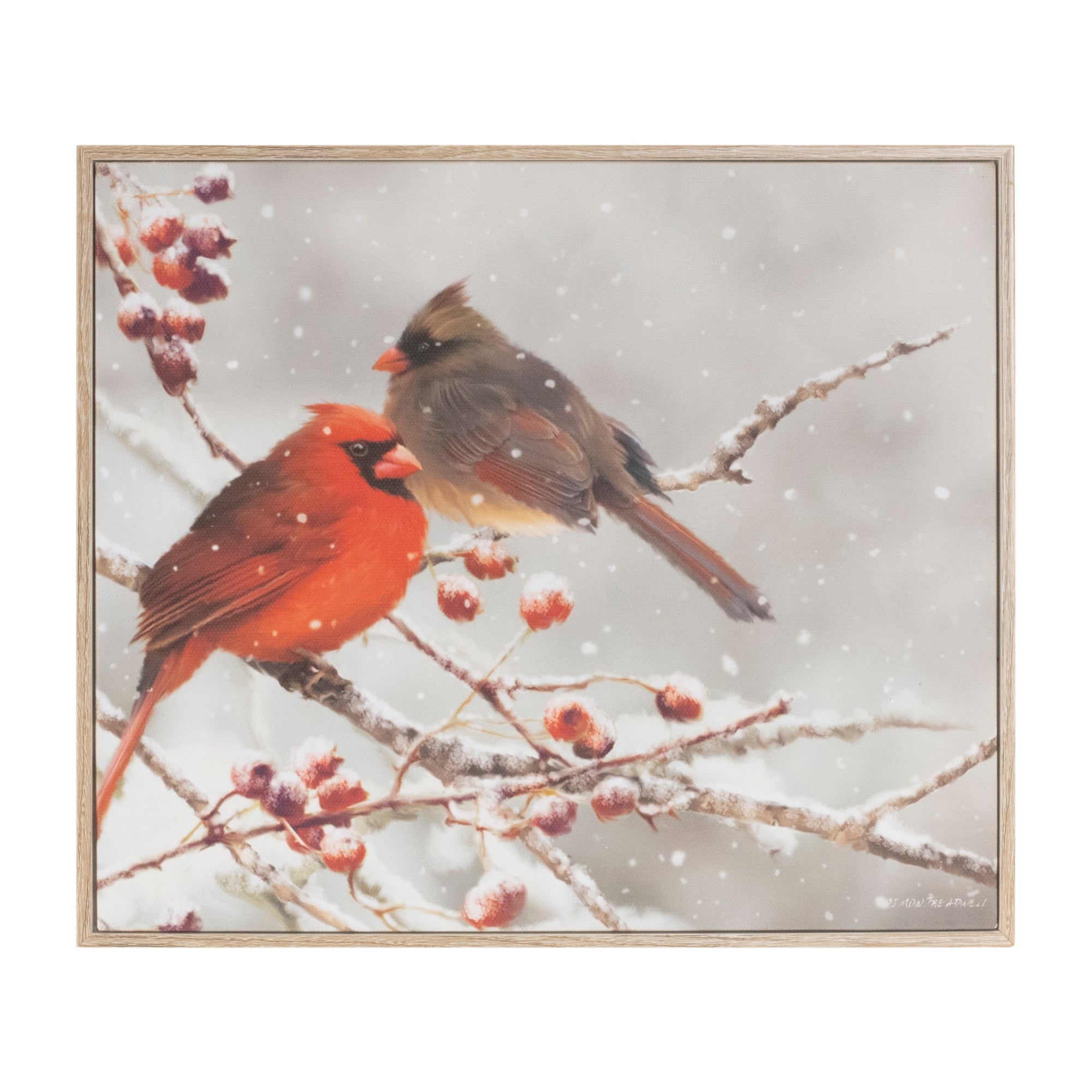 Cardinal Print 10.5"L x 9"H /Paper