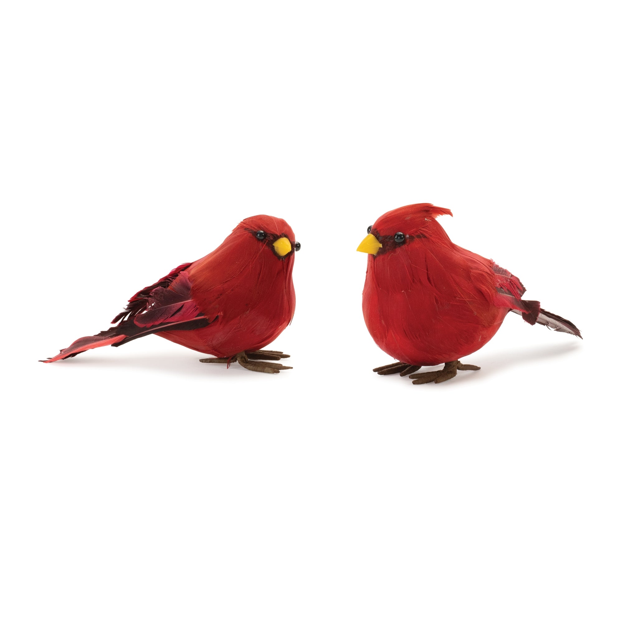 Cardinal (2 Asst) 3.25"H, 3.5"H Foam/Feather