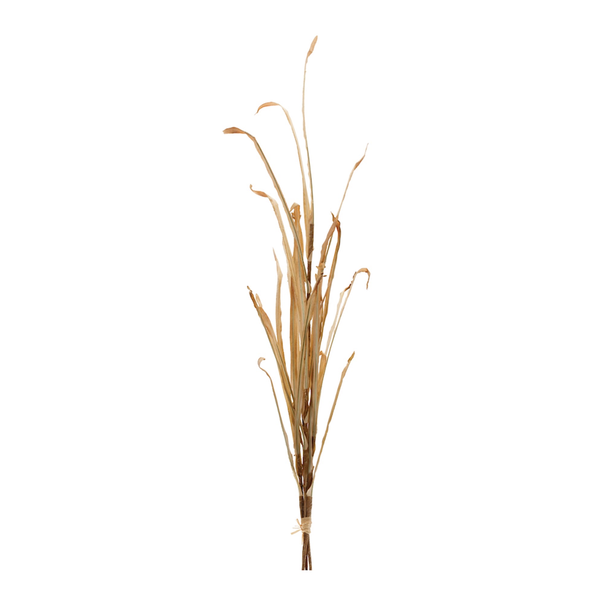 Grass Stem 38”H Polyester