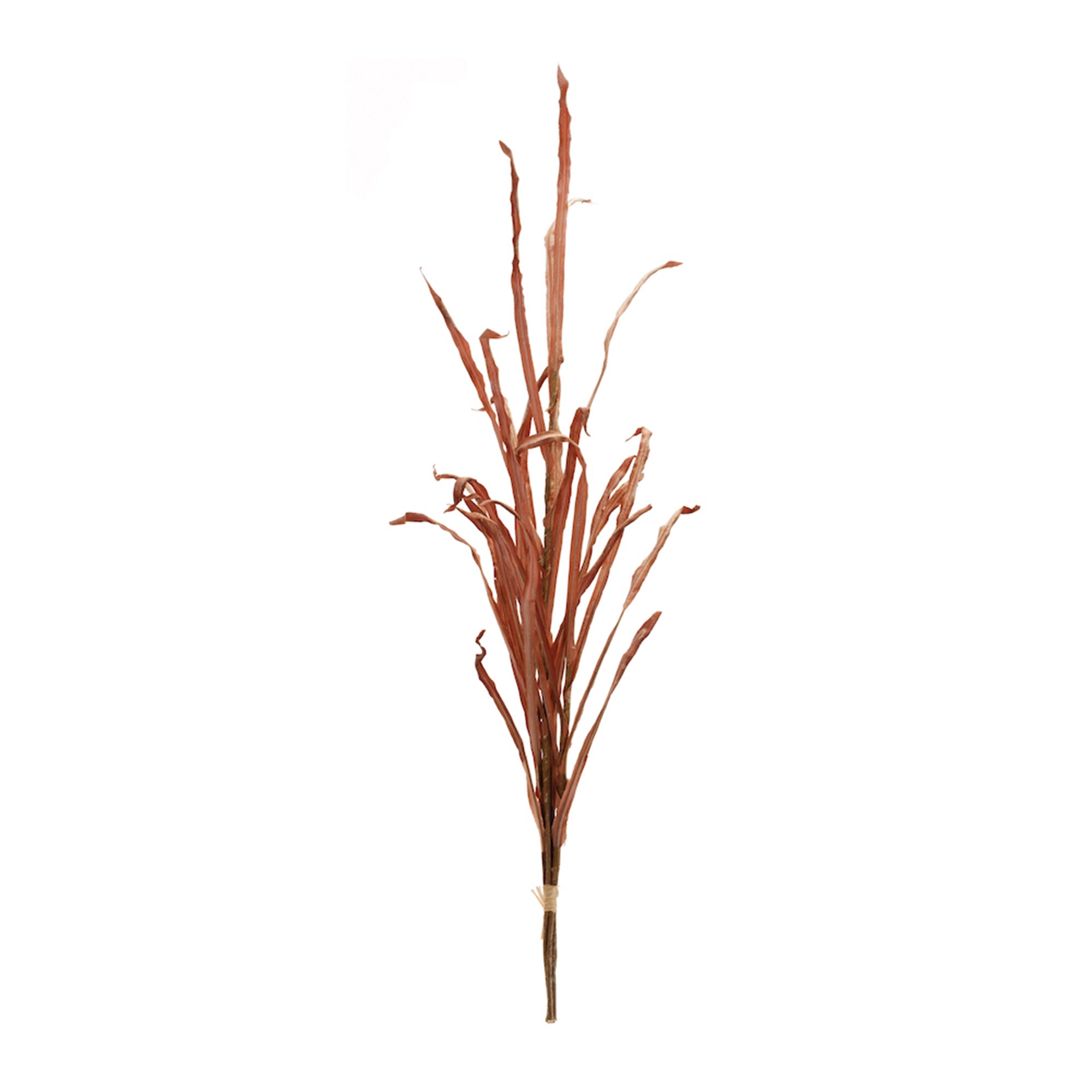Grass Stem 38”H Polyester